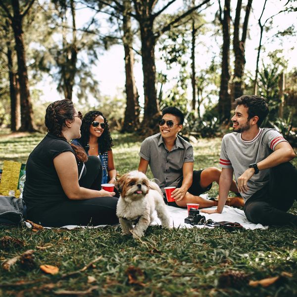 Diverse group of people smiling and sitting on yoga mats in a park.
